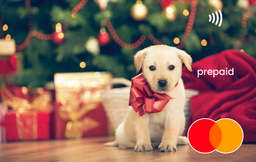 Festive surprises Mastercard gift card shop at Gift Card Store