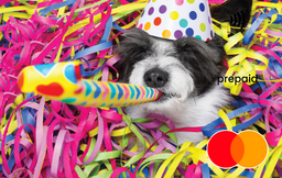 Birthday pup Mastercard gift card shop at Gift Card Store