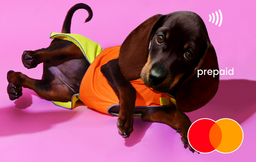 dachshunds Mastercard gift card shop at Gift Card Store