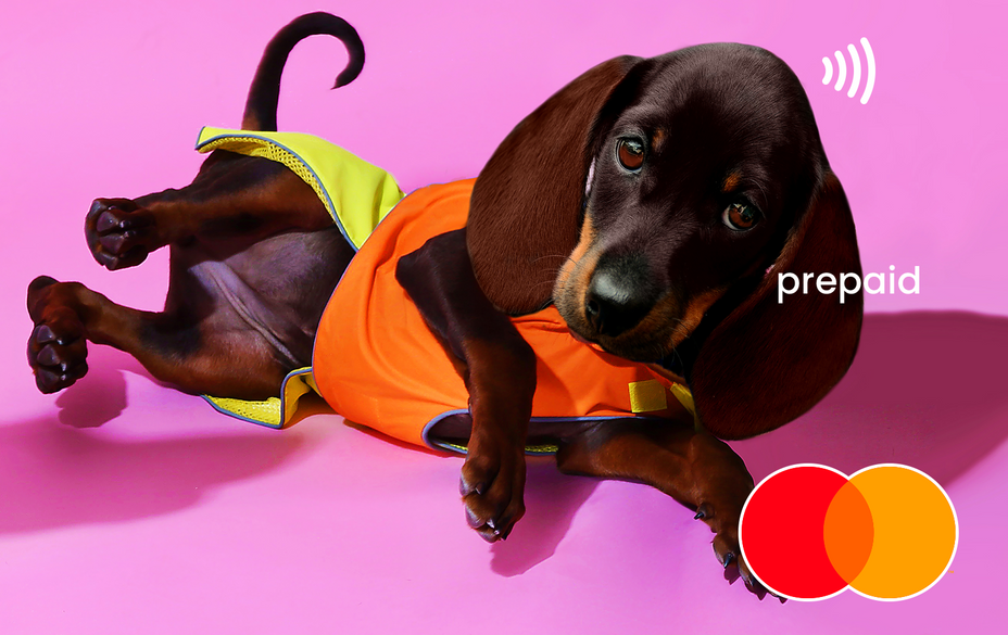 dachshunds Mastercard gift card shop at Gift Card Store