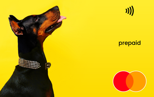 Dog Mastercard gift card shop at Gift Card Store