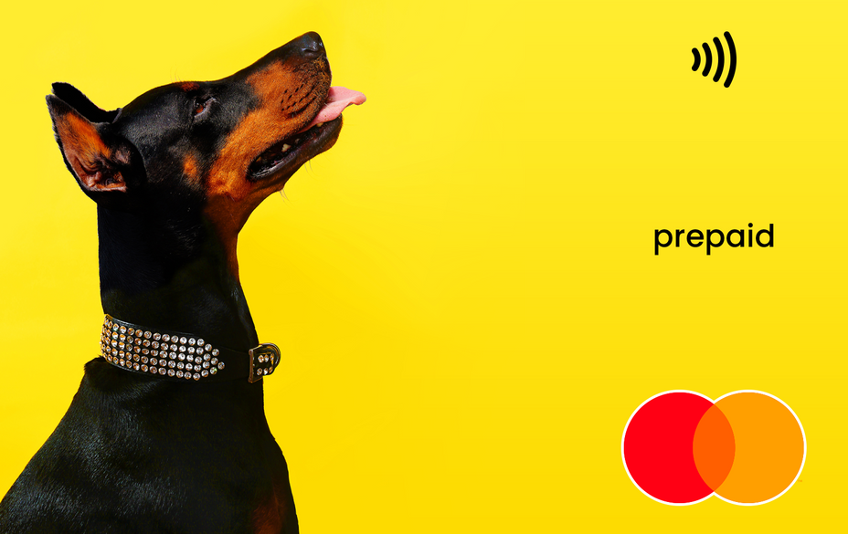 Dog Mastercard gift card shop at Gift Card Store
